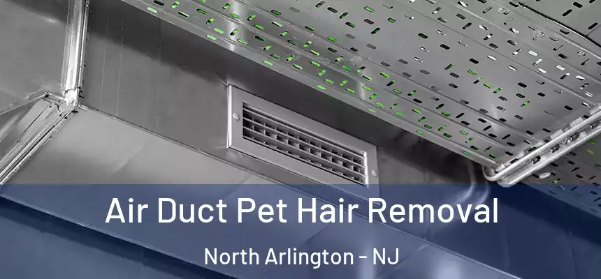  Air Duct Pet Hair Removal North Arlington - NJ