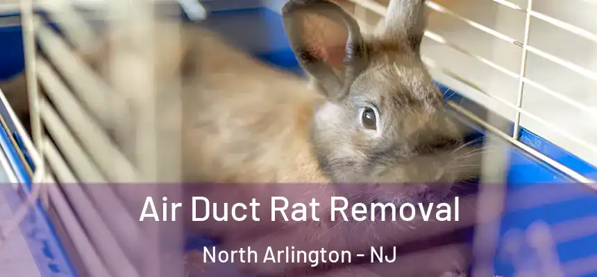  Air Duct Rat Removal North Arlington - NJ