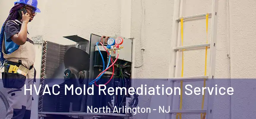  HVAC Mold Remediation Service North Arlington - NJ