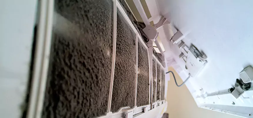 Preventive Air Duct Bacteria Removal in North Arlington