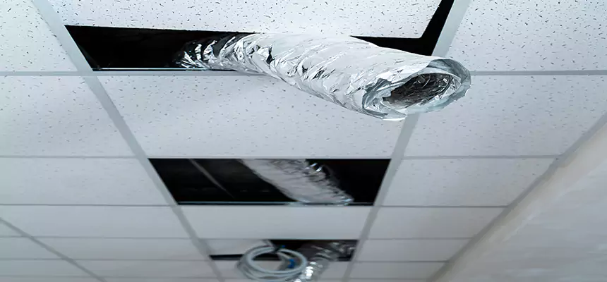 Our Air Duct Pet Hair Removal Services in North Arlington, NJ