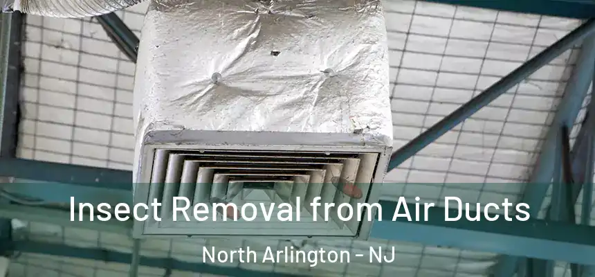  Insect Removal from Air Ducts North Arlington - NJ