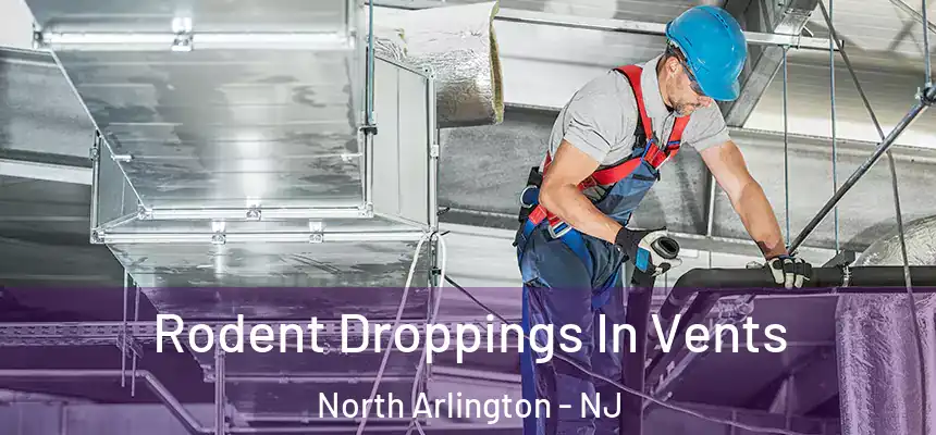  Rodent Droppings In Vents North Arlington - NJ