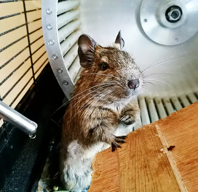 Why Homeowners & Businesses Trust Us North Arlington, NJ?